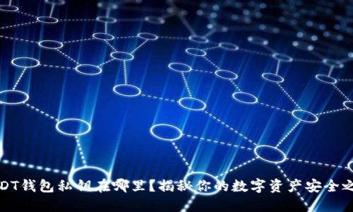 USDT钱包私钥在哪里？揭秘你的数字资产安全之道
