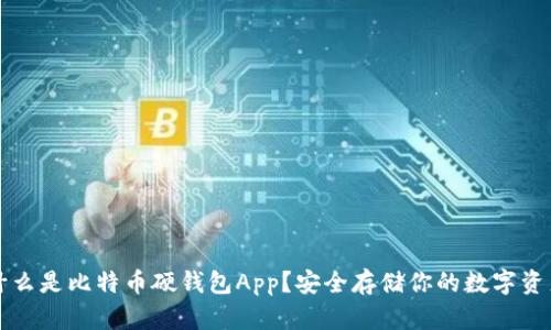 什么是比特币硬钱包App？安全存储你的数字资产
