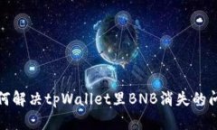 如何解决tpWallet里BNB消失的