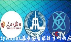 深入了解tpWallet在币安智能