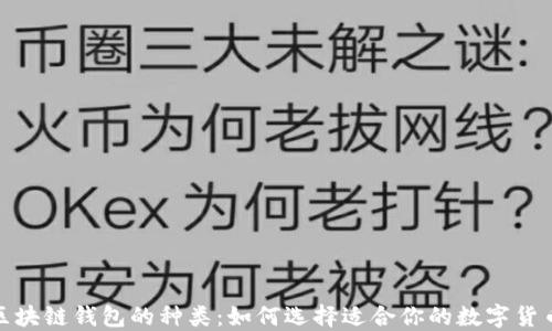
探索区块链钱包的种类：如何选择适合你的数字货币钱包