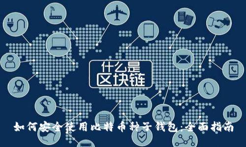 如何安全使用比特币种子钱包：全面指南