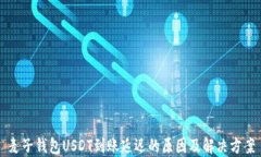 麦子钱包USDT到账延迟的原