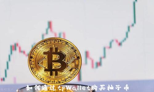 
如何通过tpWallet购买柚子币