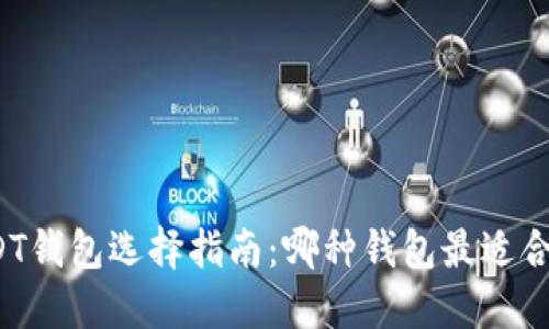 USDT钱包选择指南：哪种钱包最适合你？