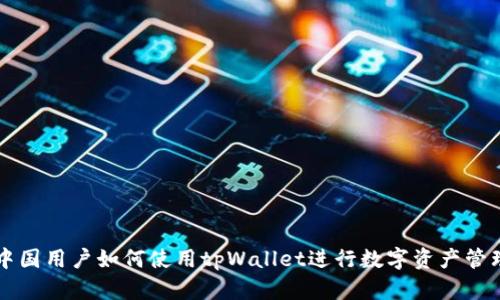 中国用户如何使用tpWallet进行数字资产管理