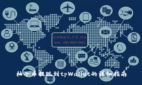 柚子币提现到tpWallet的详细指南