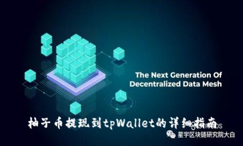 柚子币提现到tpWallet的详细指南