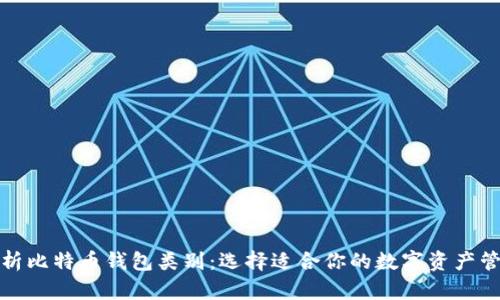 全面解析比特币钱包类别：选择适合你的数字资产管理工具