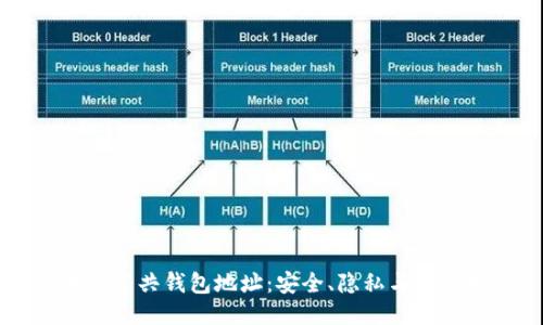 区块链公共钱包地址：安全、隐私与管理指南