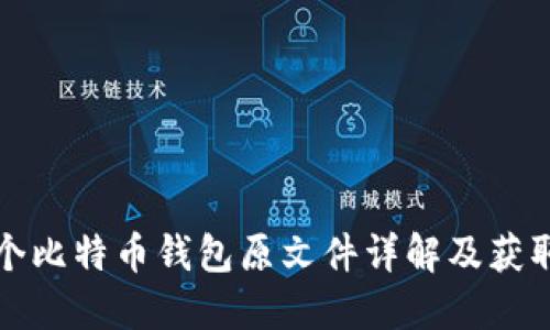 131个比特币钱包原文件详解及获取方法