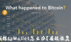 不小心删掉tpWallet怎么办？