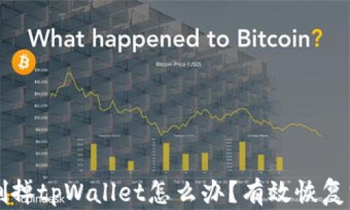 
不小心删掉tpWallet怎么办？有效恢复方法详解