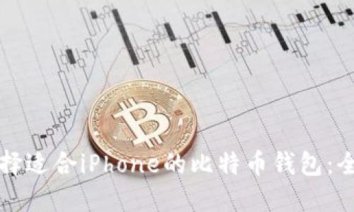 如何选择适合iPhone的比特币钱包：全面指南
