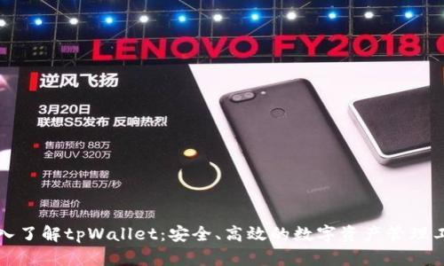 深入了解tpWallet：安全、高效的数字资产管理工具