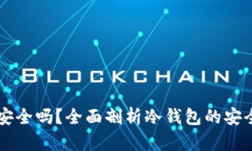 以太坊冷钱包安全吗？全面剖析冷钱包的安全性与使用指南