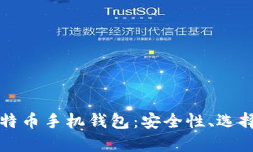 全面解析比特币手机钱包：安全性、选择与使用指南
