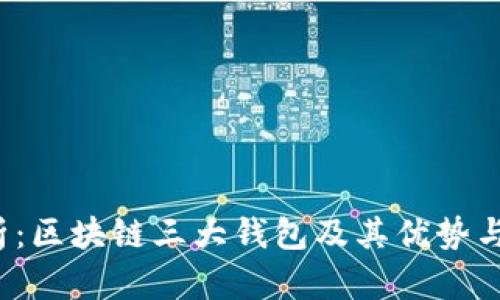  深入解析：区块链三大钱包及其优势与选择指南