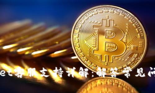 ### tpWallet客服支持详解：解答常见问题与使用指南