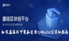 如何在海外下载和使用t