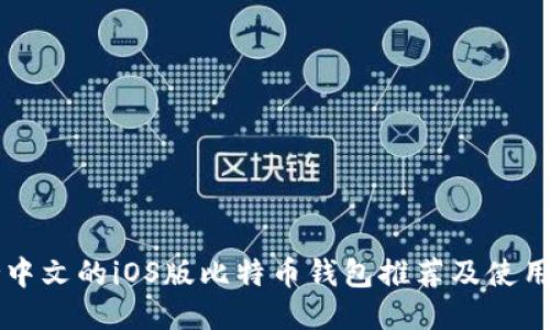 支持中文的iOS版比特币钱包推荐及使用指南