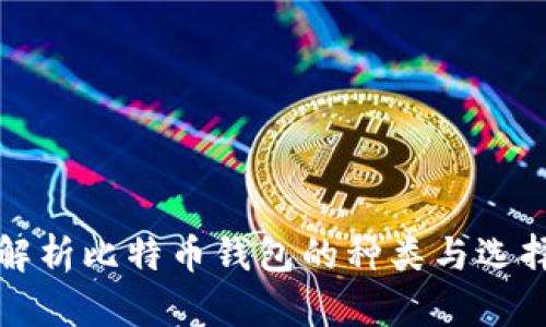 全面解析比特币钱包的种类与选择指南