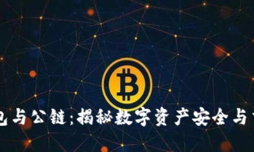 区块链钱包与公链：揭秘数字资产安全与交易的未来