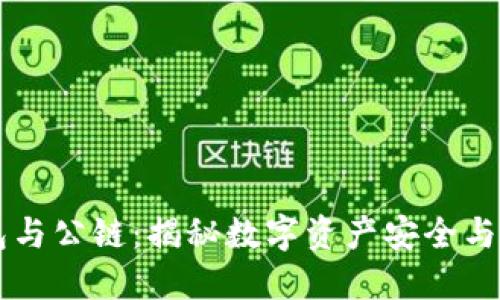 区块链钱包与公链：揭秘数字资产安全与交易的未来