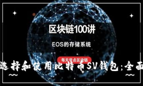 如何选择和使用比特币SV钱包：全面指南