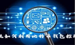 法国新总统如何利用比特