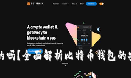 比特币钱包是真的吗？全面解析比特币钱包的安全性与使用指南