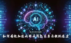 如何有效加速比特币钱包