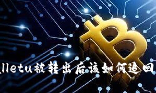 tpWalletu被转出后该如何追回资金？