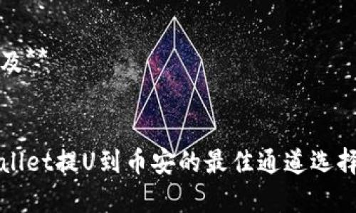 思考及**


tpWallet提U到币安的最佳通道选择指南