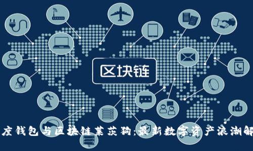 百度钱包与区块链莱茨狗：最新数字资产浪潮解析