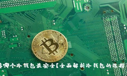 比特币存哪个冷钱包最安全？全面解析冷钱包的选择与安全性
