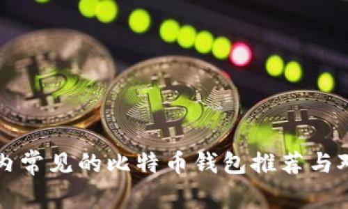 国内常见的比特币钱包推荐与对比