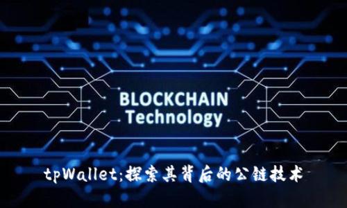tpWallet：探索其背后的公链技术
