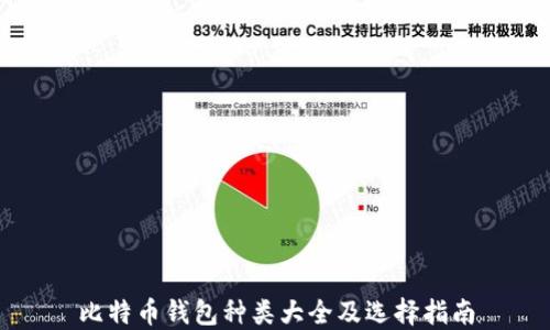
比特币钱包种类大全及选择指南