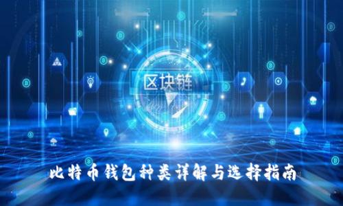 比特币钱包种类详解与选择指南