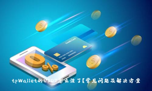 tpWallet的USDT怎么没了？常见问题及解决方案