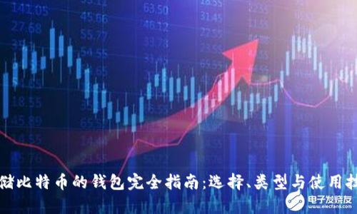 存储比特币的钱包完全指南：选择、类型与使用技巧
