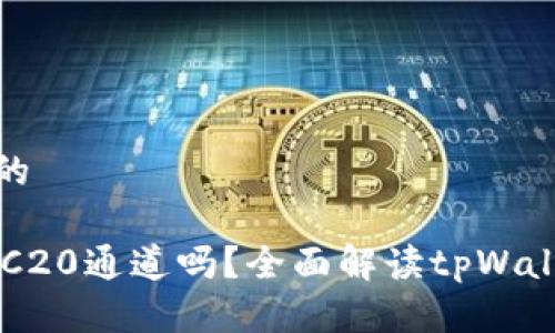 思考一个接近且的

tpWallet支持ERC20通道吗？全面解读tpWallet的功能与优势