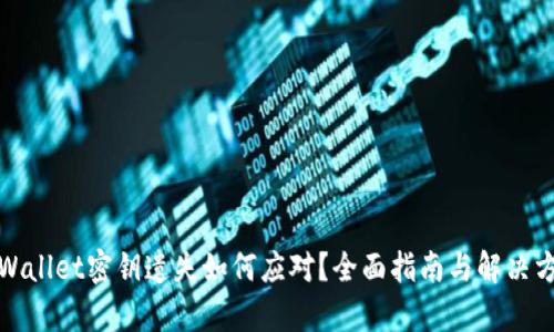 tpWallet密钥遗失如何应对？全面指南与解决方案