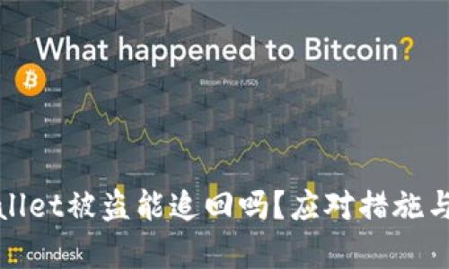 tpWallet被盗能追回吗？应对措施与建议