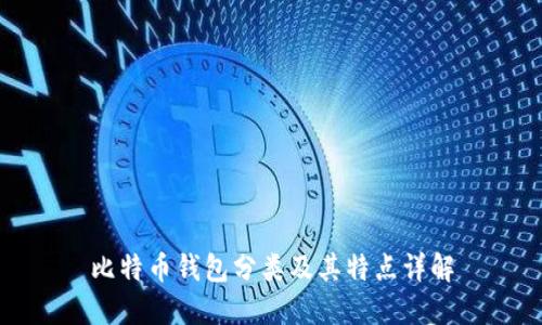 比特币钱包分类及其特点详解