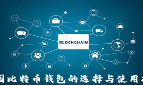 
中国比特币钱包的选择与使用指南
