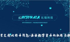 三星支持比特币钱包：未
