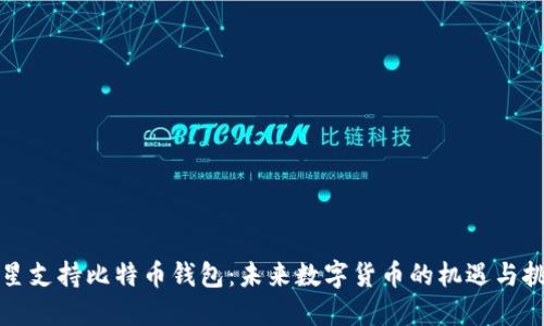 三星支持比特币钱包：未来数字货币的机遇与挑战