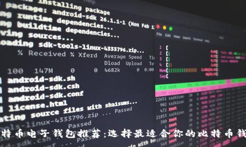 :
比特币电子钱包推荐：选择最适合你的比特币钱包
